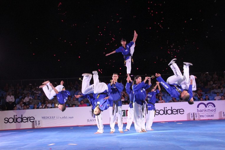 Martial Arts Festival